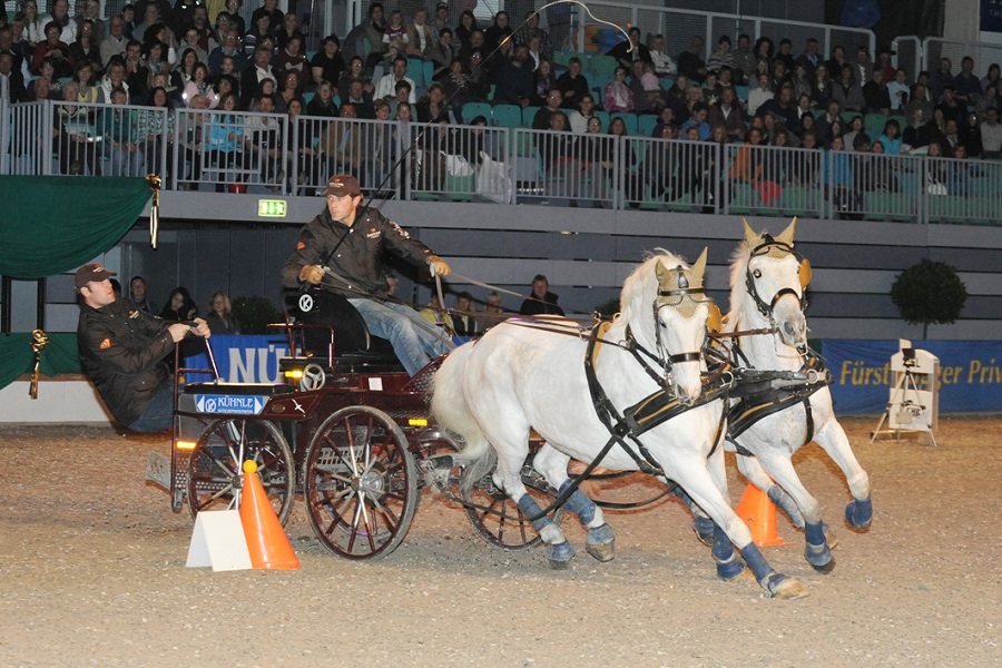 馬展，德國馬展，馬匹比賽