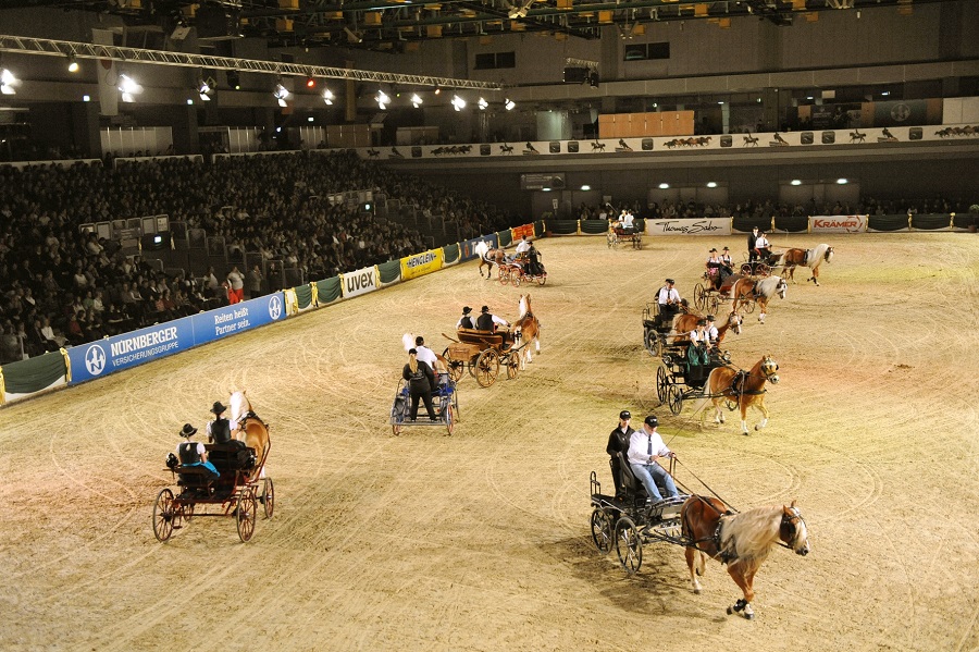 馬展，德國馬展，馬匹比賽